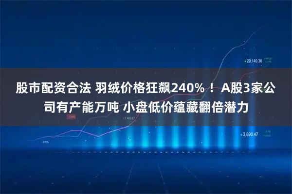 股市配资合法 羽绒价格狂飙240% ！A股3家公司有产能万吨 小盘低价蕴藏翻倍潜力